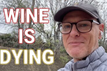 Why the Wine Industry Is Dying and the Impact on Business