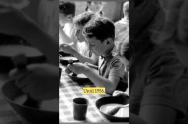 Fact: Wine at French schools #shorts #facts