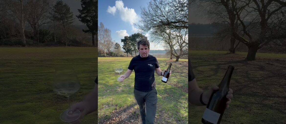 Loire Valley goodness #lukeflunder #wineblogger #wine