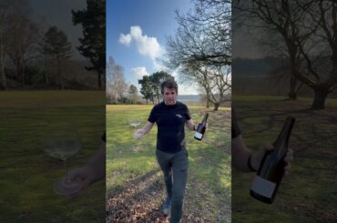 Loire Valley goodness #lukeflunder #wineblogger #wine