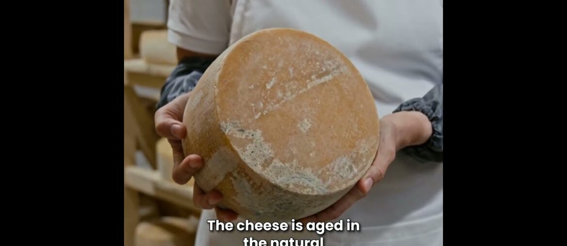 Roquefort: The King of Cheeses