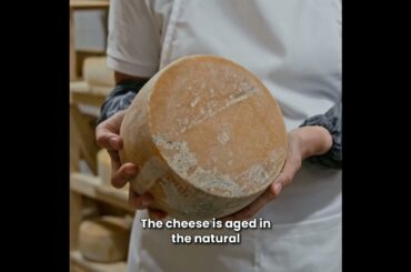 Roquefort: The King of Cheeses