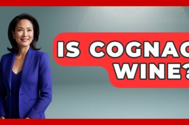 Is Cognac Wine? - France Fact File
