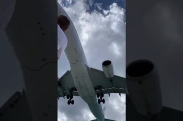 Saint Maarten is the ultimate Caribbean getaway, blending Dutch and French cultures