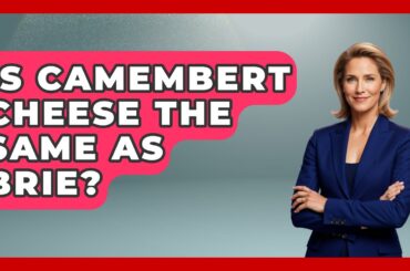 Is Camembert Cheese The Same As Brie? - France Fact File