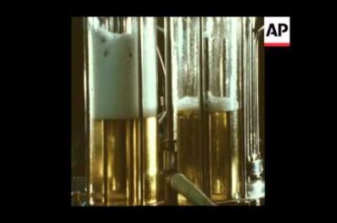 RR7340B FRENCH WINE: A BUMPER HARVEST