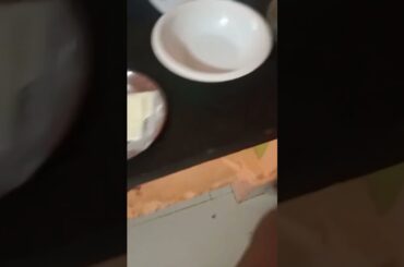 French fries cheesy chaat #cooking #foodies