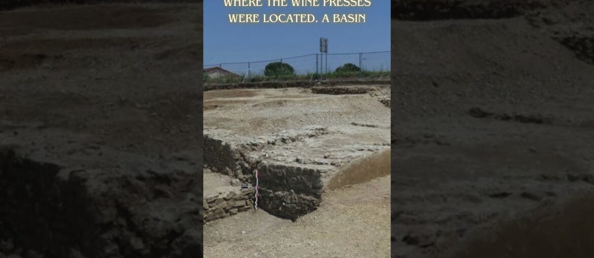Historic Winemaking Site Uncovered in France  #history #ancienthistory #archaeologicalnews