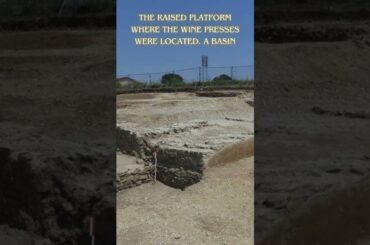 Historic Winemaking Site Uncovered in France  #history #ancienthistory #archaeologicalnews
