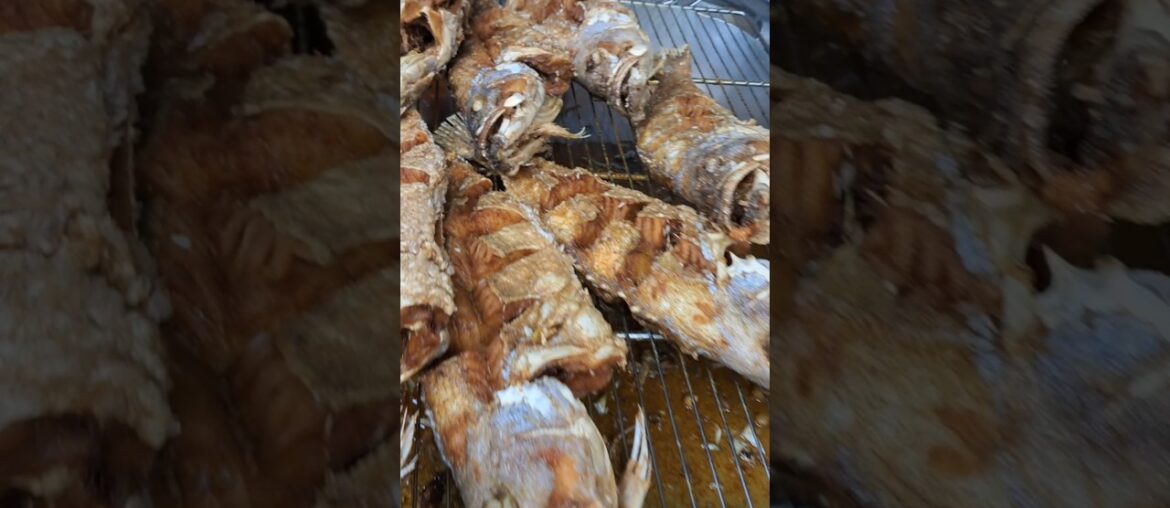 Groupers fish fries #kerapu #friedfish #grilledfish #restaurantstyle #amazingshorts