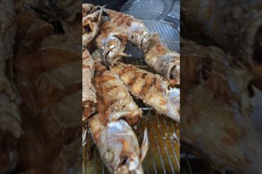 Groupers fish fries #kerapu #friedfish #grilledfish #restaurantstyle #amazingshorts