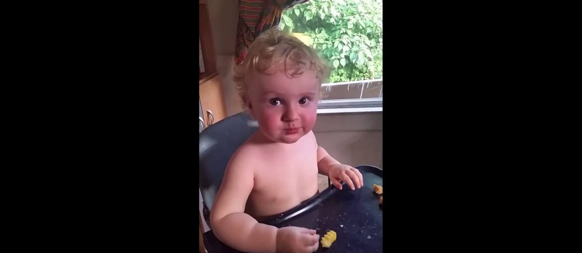 Miles chicken and french fries