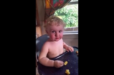 Miles chicken and french fries