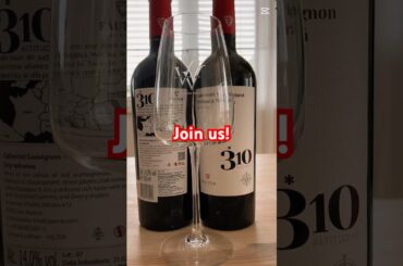 Discover Moldova’s Finest: Fautor 310 Altitudine & Exclusive Wine Tasting at Haschka Winebar