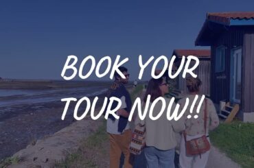 Rustic Vines - Bordeaux's Original Ebike Full Day Wine Tour