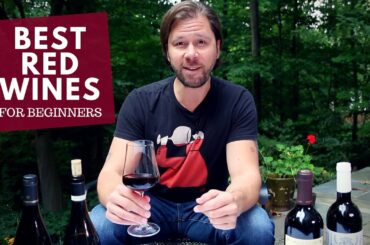 The Best Red Wines for Beginners (Series): #4 Cabernet Franc