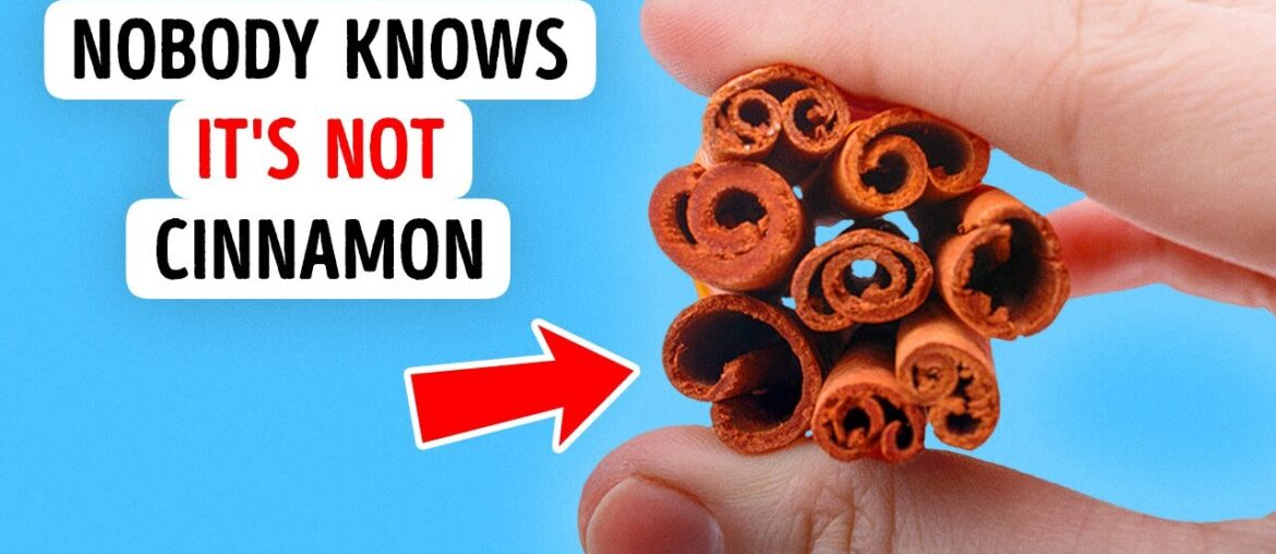 Food Facts That Will Level Up Your Inner Foodie