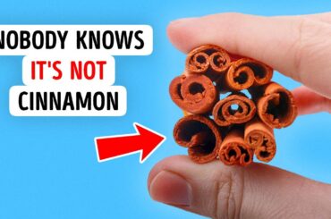 Food Facts That Will Level Up Your Inner Foodie