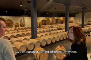 Rustic Vines Left & Right Bank Full Day Wine Tour