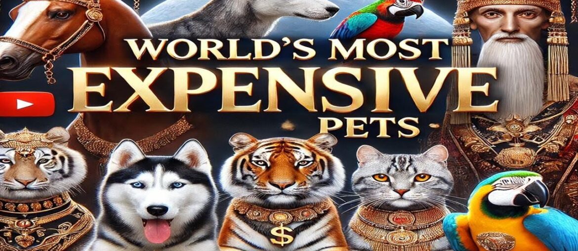 Would You Pay $2 Million For This Dog?