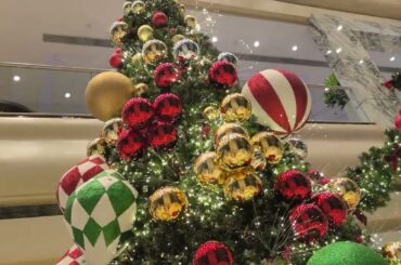 Five Star Hotel French Dining in Saigon 8 December 2024