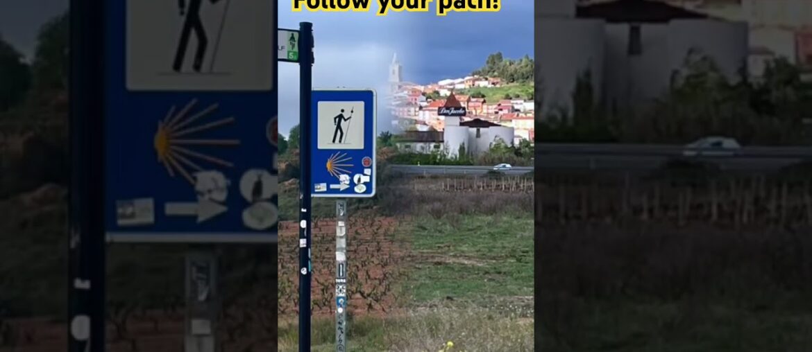 Is Your Journey Holding You Back from Finding Your TRUE Purpose?