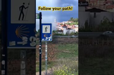 Is Your Journey Holding You Back from Finding Your TRUE Purpose?