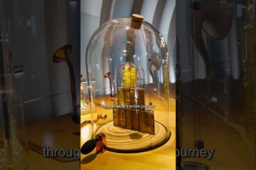 We visited the world's LARGEST WINE MUSEUM in Bordeaux France