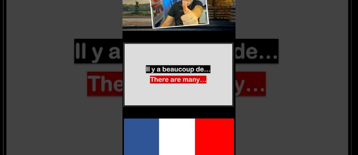 Say it in French I Cheese, Wine, and Phrases! #8