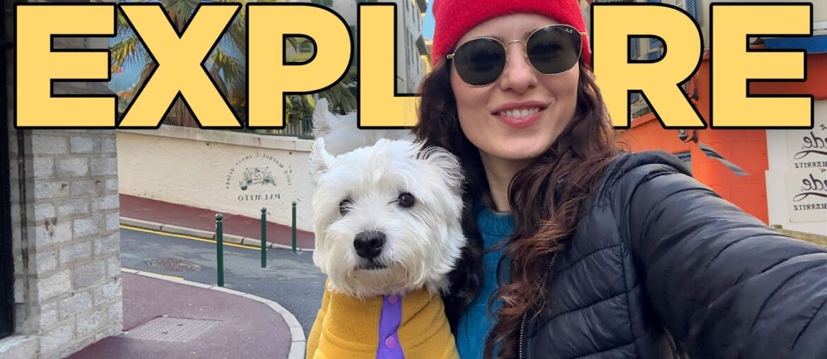 Why Did My Dog Pee On The Bed? | Exploring Dog-Friendly France with My Westie [VLOG]