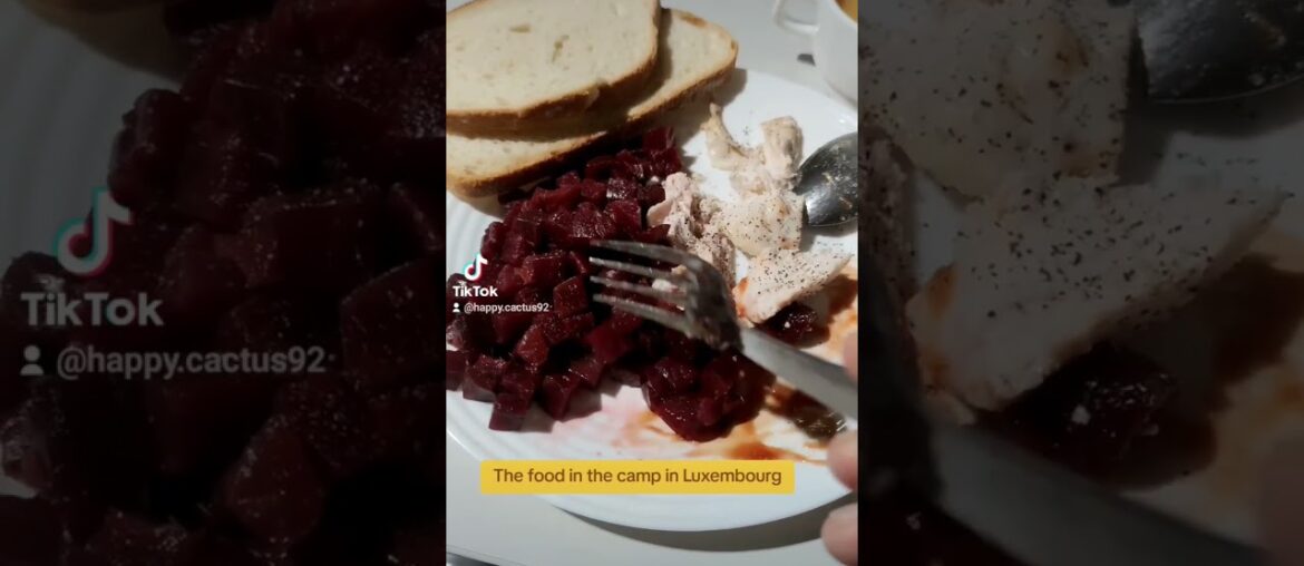 The food in the camp in the richest country in Europe #shortvideo #shorts #asylumseekers #ytshorts