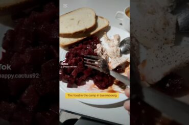 The food in the camp in the richest country in Europe #shortvideo #shorts #asylumseekers #ytshorts