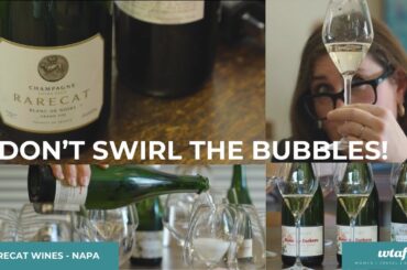 Don't Swirl the Bubbles! A Sparkling Experience at Rarecat Wines, Napa Valley