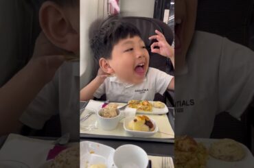 Dining on the train from Amsterdam to London pretend having French cuisine #eurostar