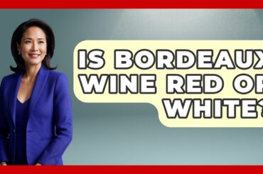 Is Bordeaux Wine Red Or White? - France Fact File