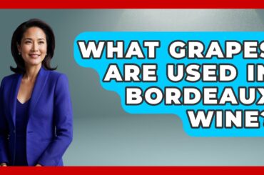 What Grapes Are Used In Bordeaux Wine? - France Fact File