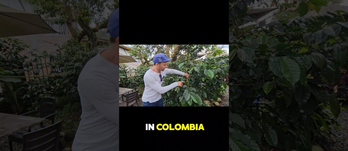 Luxury Belgium Balance Brewer: The MOST RIDICULOUS yet AWESOME Coffee Maker i found in Colombia