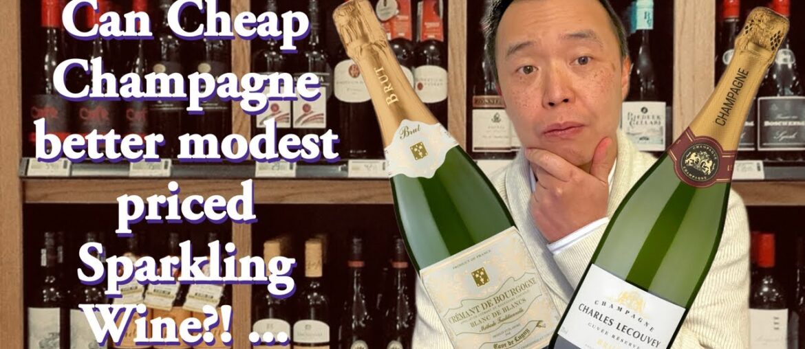 Is CHEAP or BUDGET Champagne worthy of the name?! | French Wine Comparison!
