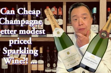 Is CHEAP or BUDGET Champagne worthy of the name?! | French Wine Comparison!
