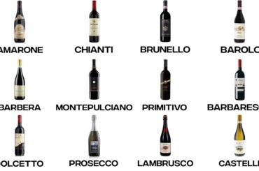 Every ITALIAN Wine Explained in 12 Minutes