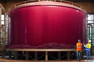 The Entire Process of Making Wine