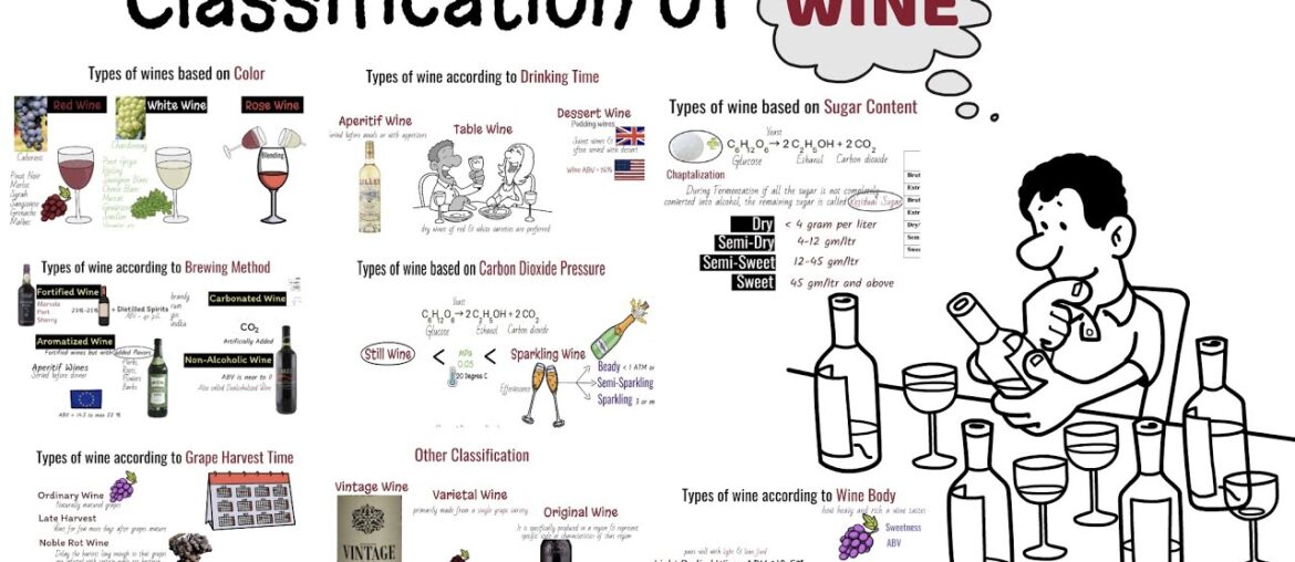 Wine and its classification/ Different Types of wine/Alcoholic beverages/Sparkling wine
