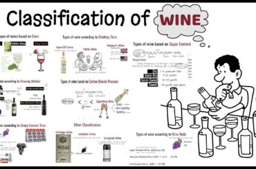 Wine and its classification/ Different Types of wine/Alcoholic beverages/Sparkling wine