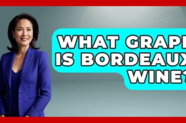 What Grape Is Bordeaux Wine? - France Fact File