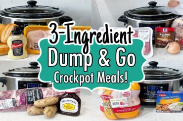 6 EASY Dump & Go Crockpot Dinners | Super Simple 3-Ingredient Slow Cooker Recipes | Julia Pacheco