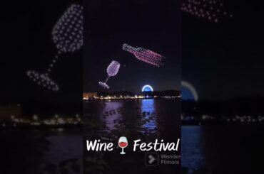 Wine Festival with 400 Drones at Brodeaux, France. #wine #france