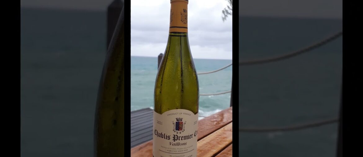 Jean-Paul & Benoit Droin Chablis Vaillons #youtubeshorts #wine #frenchwine #chablis