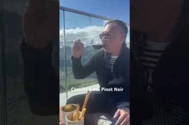 Swiss Wine Mini Review - Cantina Ratti Zizerser Pinot Noir