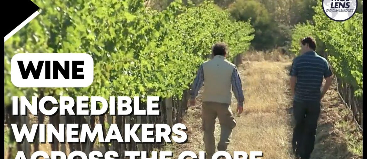 French Winemakers: Producing Exceptional Wines Worldwide