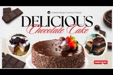 A Sweet Journey!  The Chocolate Cake Chronicles 2025!